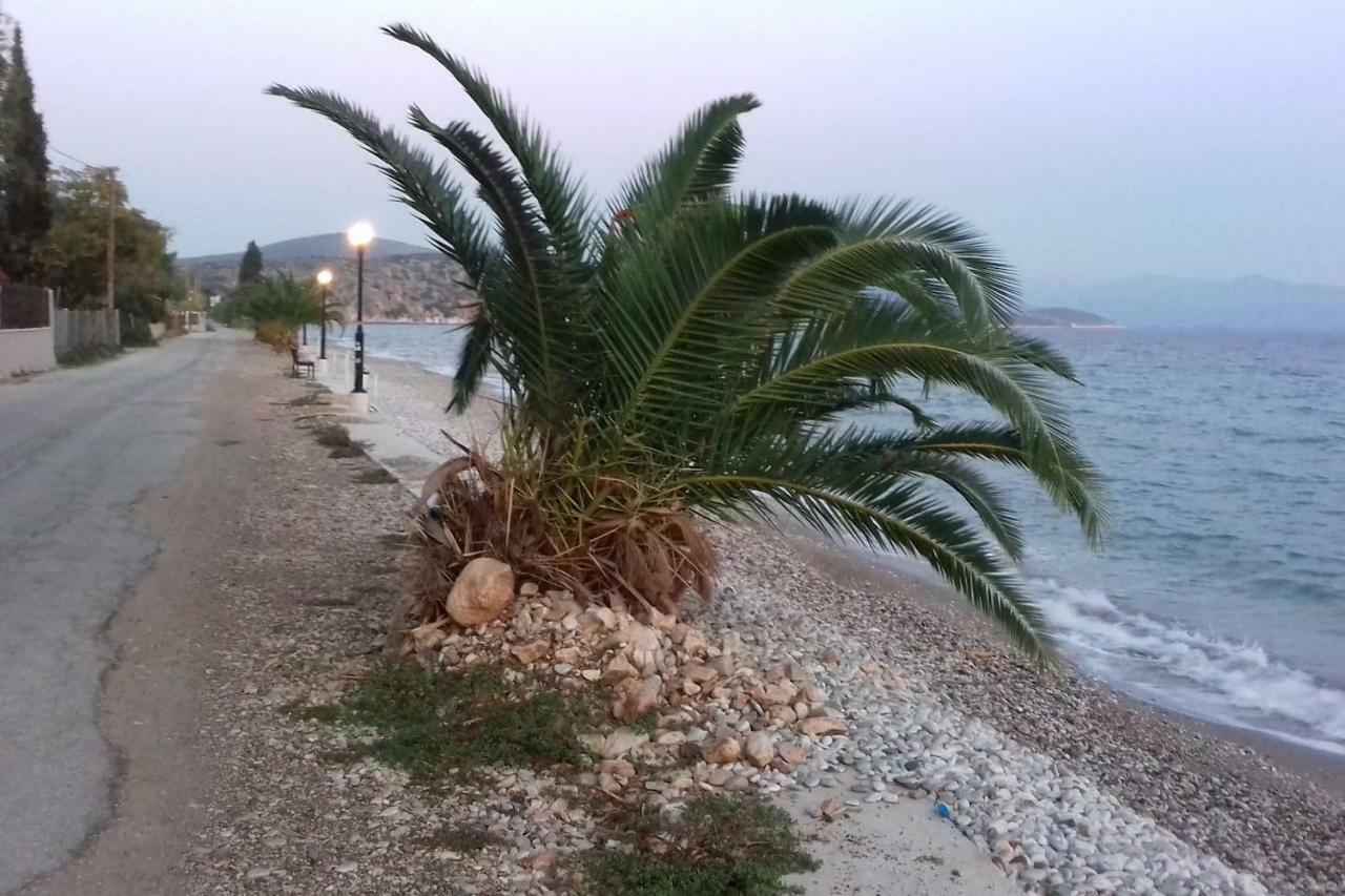 Family House Near The Beach Drepano-Nafplio Exterior photo